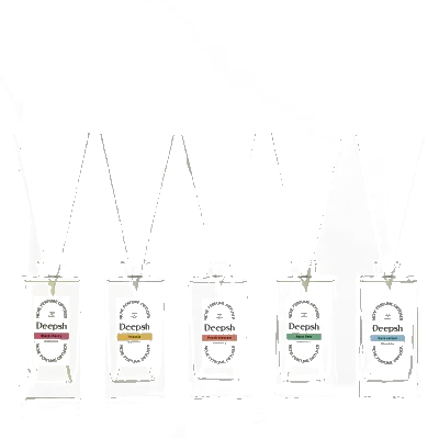 딥쉬 니치 퍼퓸 디퓨저 140ML